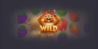 Groundhog Harvest Features
